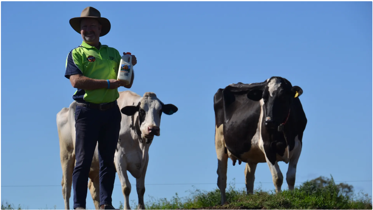 Farmer Gregie with milk and cows
